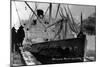 Skagway, Alaska - Princess Norah Ship Arriving-Lantern Press-Mounted Art Print