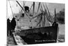 Skagway, Alaska - Princess Norah Ship Arriving-Lantern Press-Mounted Art Print