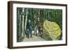 Skagway, Alaska - View of the Largest Gold Nugget in the World-Lantern Press-Framed Art Print