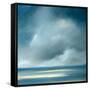 Skaket Blue-Rick Fleury-Framed Stretched Canvas