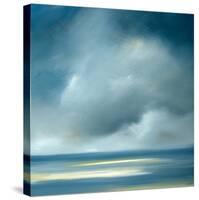 Skaket Blue-Rick Fleury-Stretched Canvas