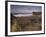 Skardsvik, White-Sand Beach Bordered by Lava Flows in the North of Snaefellsjokull National Park-Patrick Dieudonne-Framed Photographic Print