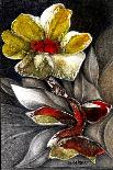 Bouquet Nasturtiums-Skarlett-Giclee Print