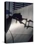 Skateboarder in Action on the Vert-null-Stretched Canvas