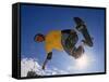 Skateboarder in Action on the Vert-null-Framed Stretched Canvas