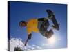 Skateboarder in Action on the Vert-null-Stretched Canvas