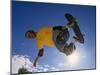 Skateboarder in Action on the Vert-null-Mounted Premium Photographic Print