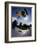 Skateboarder in Action on the Vert-null-Framed Premium Photographic Print