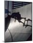 Skateboarder in Action on the Vert-null-Mounted Photographic Print