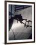 Skateboarder in Action on the Vert-null-Framed Photographic Print