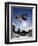 Skateboarder in Action on the Vert-null-Framed Photographic Print