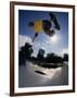 Skateboarder in Action on the Vert-null-Framed Photographic Print