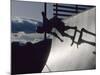 Skateboarder in Action on the Vert-null-Mounted Photographic Print