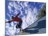 Skateboarder in Action on the Vert-null-Mounted Photographic Print