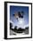 Skateboarder in Action on the Vert-null-Framed Photographic Print