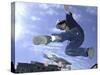 Skateboarder in Midair Doing a Trick-null-Stretched Canvas