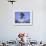 Skateboarder in Midair Doing a Trick-null-Framed Photographic Print displayed on a wall