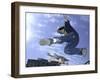 Skateboarder in Midair Doing a Trick-null-Framed Photographic Print