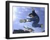 Skateboarder in Midair Doing a Trick-null-Framed Photographic Print