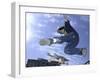 Skateboarder in Midair Doing a Trick-null-Framed Photographic Print