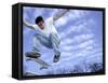 Skateboarder in Midair-null-Framed Stretched Canvas