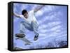 Skateboarder in Midair-null-Framed Stretched Canvas