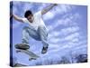 Skateboarder in Midair-null-Stretched Canvas