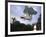 Skateboarder in Midair-null-Framed Photographic Print