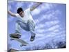 Skateboarder in Midair-null-Mounted Photographic Print