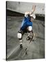 Skateboarder Performing Tricks-null-Stretched Canvas