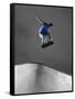 Skateboarder Performing Tricks-null-Framed Stretched Canvas