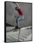 Skateboarder Performing Tricks-null-Framed Stretched Canvas