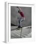 Skateboarder Performing Tricks-null-Framed Photographic Print