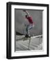 Skateboarder Performing Tricks-null-Framed Photographic Print