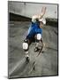 Skateboarder Performing Tricks-null-Mounted Photographic Print