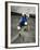 Skateboarder Performing Tricks-null-Framed Photographic Print