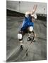 Skateboarder Performing Tricks-null-Mounted Photographic Print