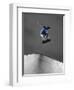 Skateboarder Performing Tricks-null-Framed Photographic Print