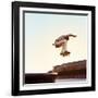 Skateboarder Performs a Trick in the City on a Sunny Day-Maksim Shirkov-Framed Photographic Print