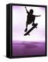 Skateboarder Silhouette-null-Framed Stretched Canvas