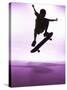 Skateboarder Silhouette-null-Stretched Canvas