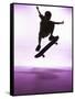 Skateboarder Silhouette-null-Framed Stretched Canvas