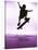 Skateboarder Silhouette-null-Stretched Canvas