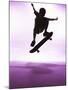 Skateboarder Silhouette-null-Mounted Photographic Print