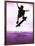 Skateboarder Silhouette-null-Framed Photographic Print