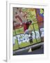 Skateboarder with Graffiti Background-null-Framed Photographic Print