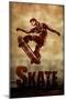 Skateboarding Skate Sketch Sports Poster Print-null-Mounted Poster