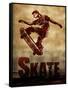 Skateboarding Skate Sketch Sports Poster Print-null-Framed Stretched Canvas