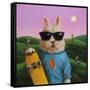 Skater Bunny-Lucia Heffernan-Framed Stretched Canvas