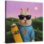 Skater Bunny-Lucia Heffernan-Stretched Canvas